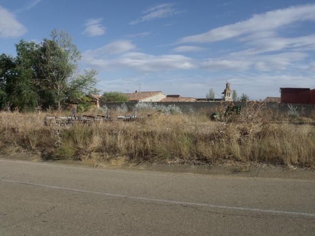 MATILLA LA SECA